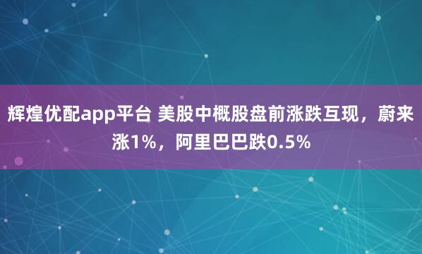 辉煌优配app平台 美股中概股盘前涨跌互现，蔚来涨1%，阿里巴巴跌0.5%